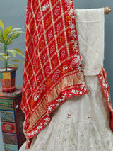 Upada Silk Zardoji Gotapatti Handwork Lehenga