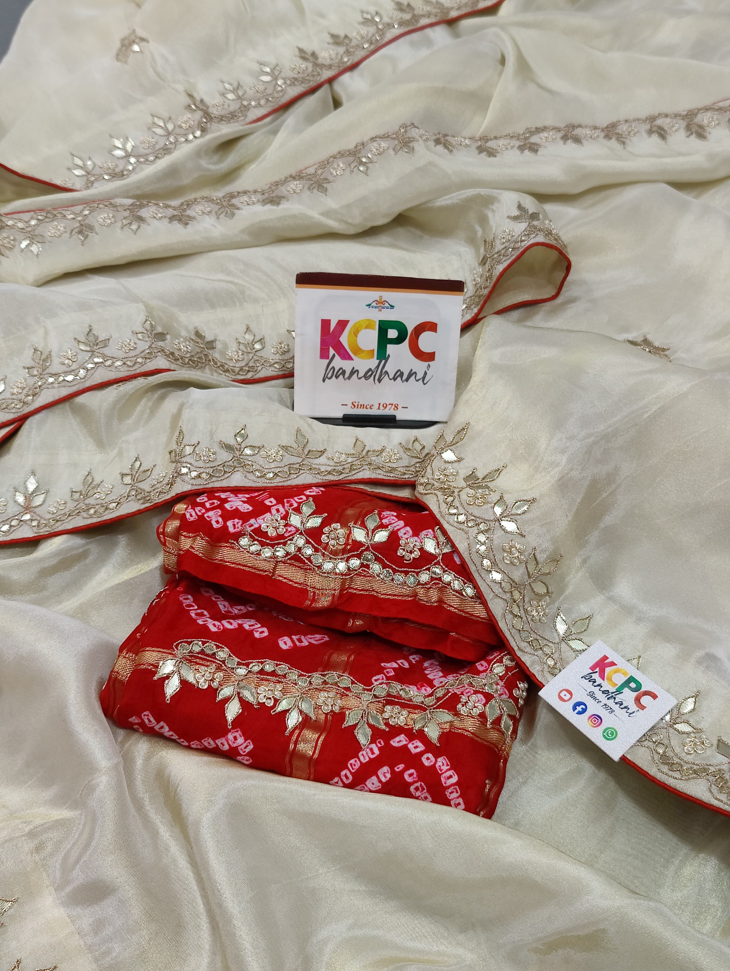 Pure Tissue saree in unique design gotapati work