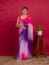 Jodhpuri style saree in multi colour