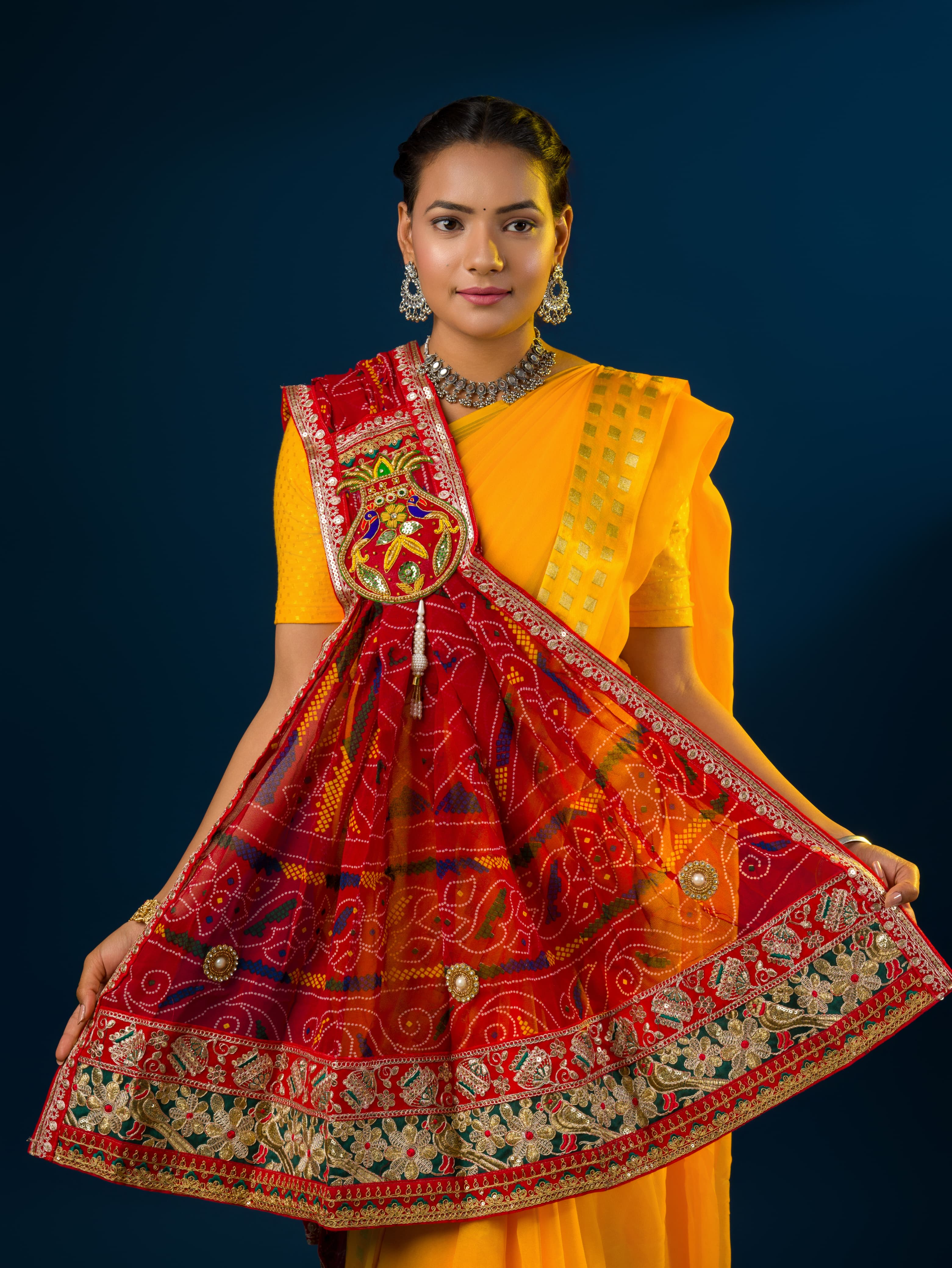 A woman wearing a traditional red and multicolored georgette broach stole with floral patterns and heavy border embellishments.