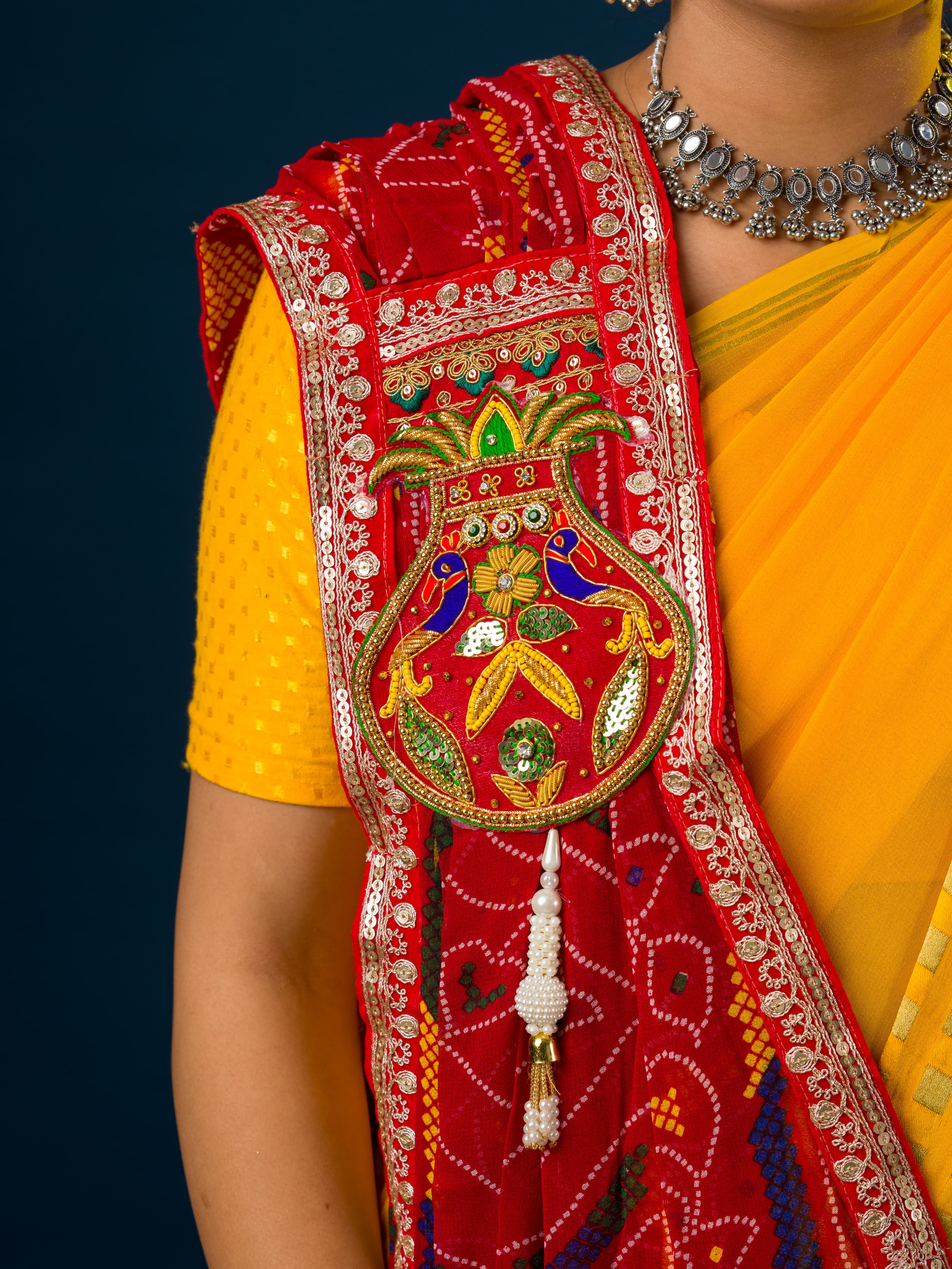 A woman wearing a traditional red and multicolored georgette broach stole with floral patterns and heavy border embellishments.
