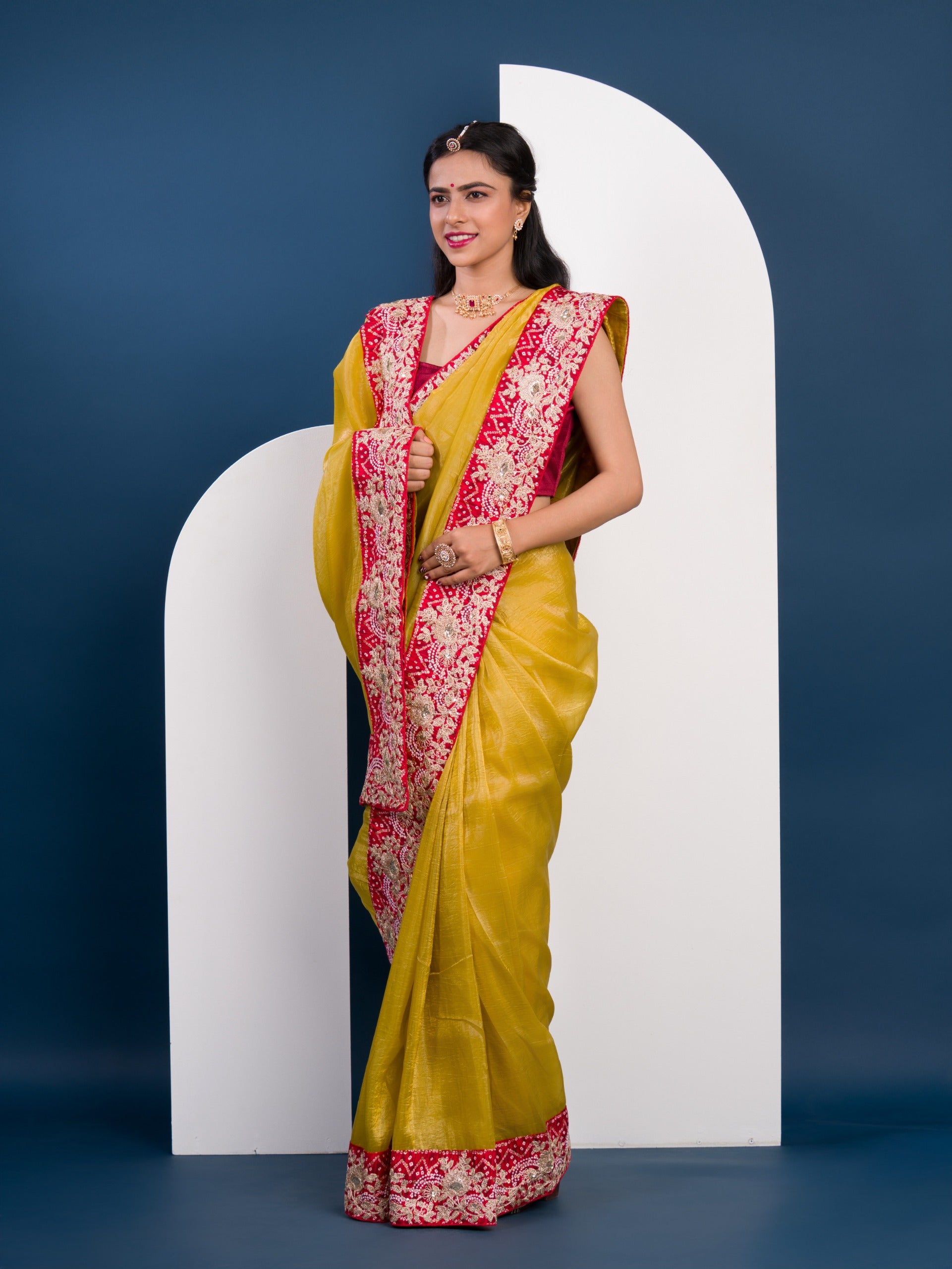 Tissue Silk Bandhani Embroidery Work Saree