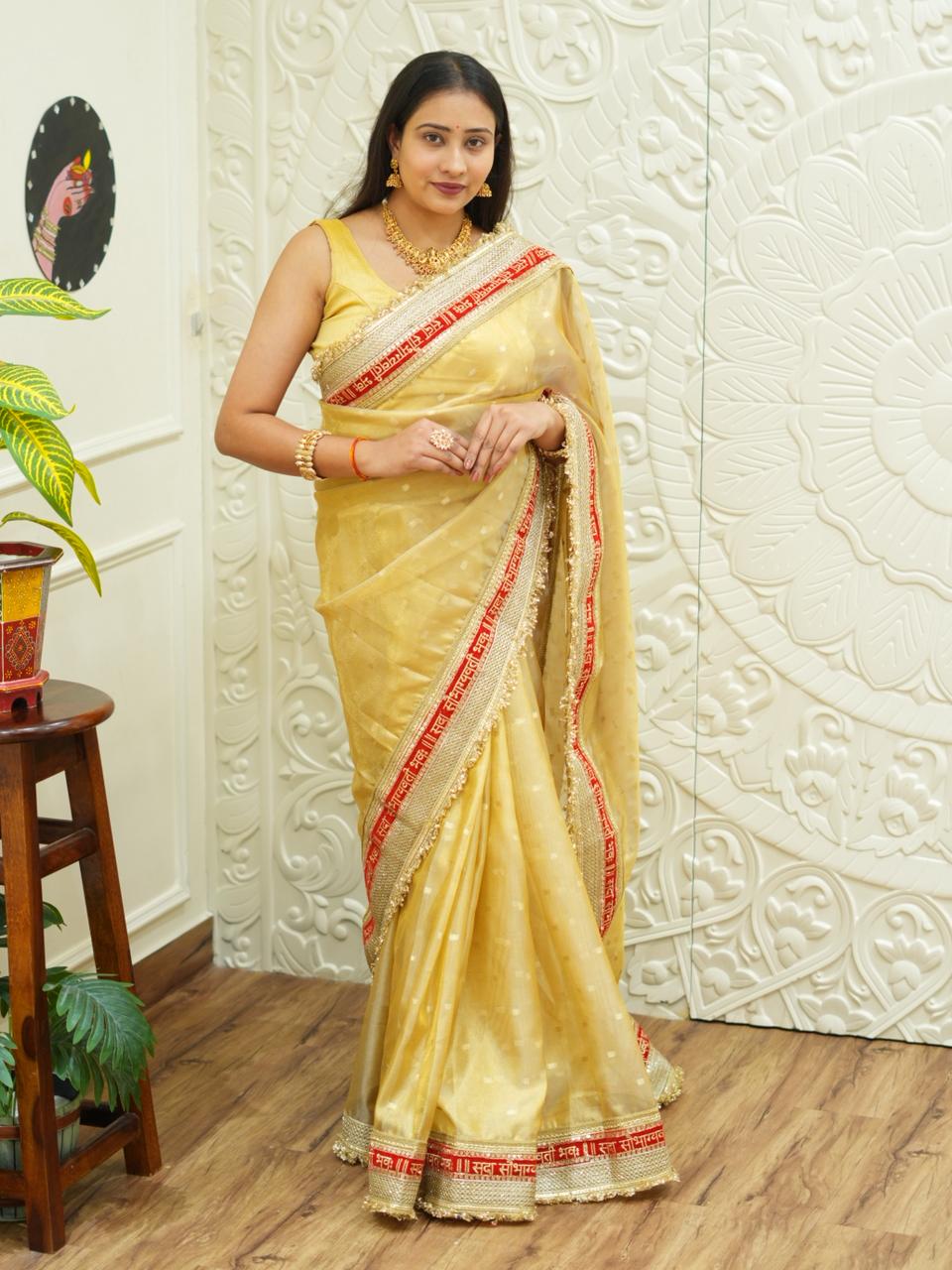 By Designer Saree With Zardosi Work