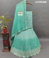 A green H O silk double shade heavy cutdana mirror work lehenga