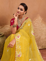 Bikaneri Kota Doria saree in yellow color 
