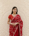 KcPc New Beautiful H O Silk Gotapatti Work Saree PAL