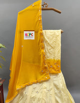 By Upada Chinon Lehenga With Traditional wear