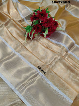 tissue silk Banarasi saree with zari weaving, in orange and yellow colors