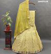 Pastel Banarasi silk Lehanga