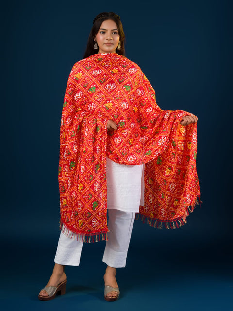 KcPc New Beautiful Chinon Patola Printed Dupatta