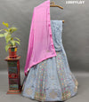 Upada Silk Katdana Gotapatti Work Lehenga Set in ice blue colour