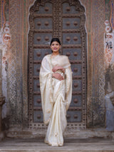 KcPc New Designer Cosmos Tissue Saree with Elegant Gotapatti WorkAMT