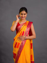  By Chinon Sequence Zari Thread Banarasi Border Saree for festivals in multi colour