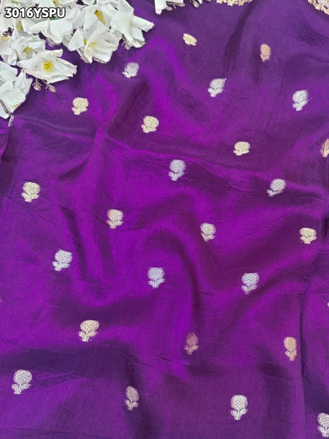 By Traditional Saree With Festive Wear