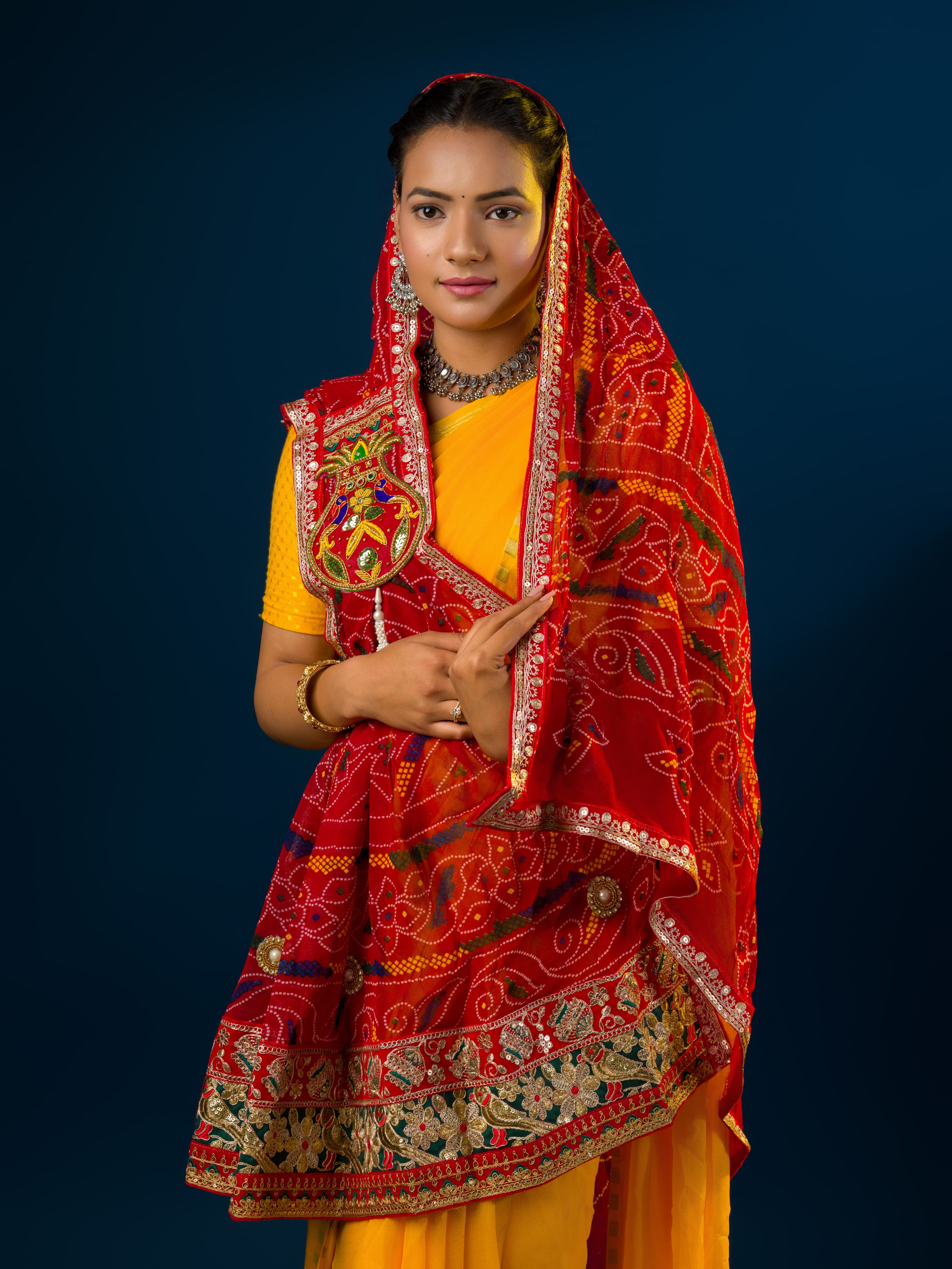 A woman wearing a traditional red and multicolored georgette broach stole with floral patterns and heavy border embellishments.