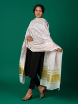 KcPc New Cotton fabric Patola style With Casual Wear Dupatta RAY