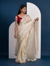 Pure Tissue saree in banarasi styel 