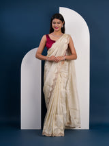 Pure Tissue saree in banarasi styel 