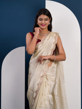 Pure Tissue saree in banarasi styel 