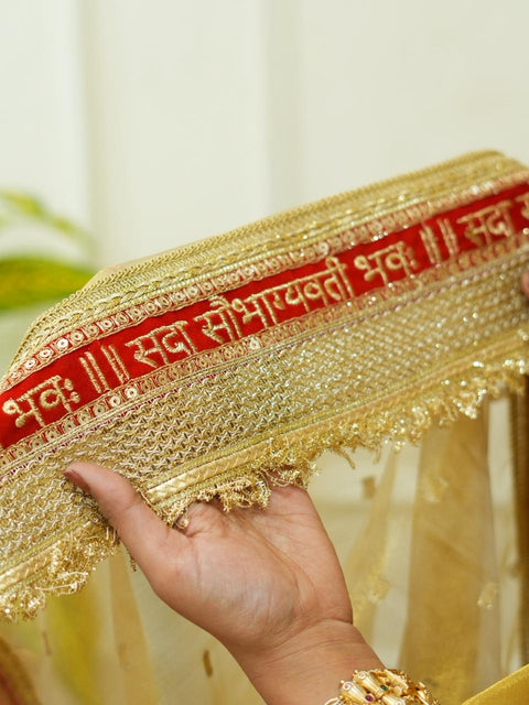 By Designer Saree With Zardosi Work 