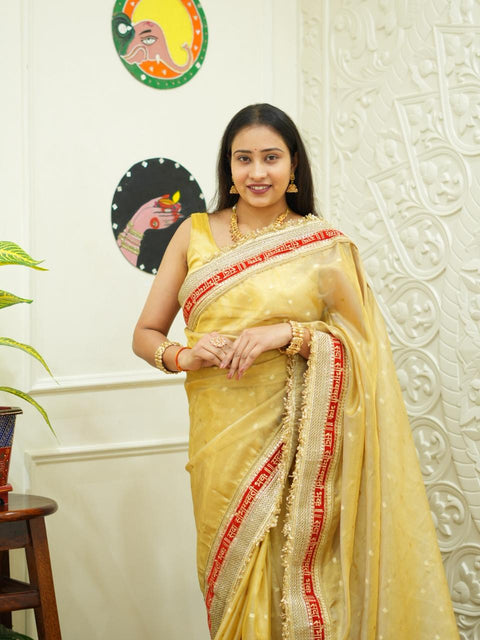 By Designer Saree With Zardosi Work 