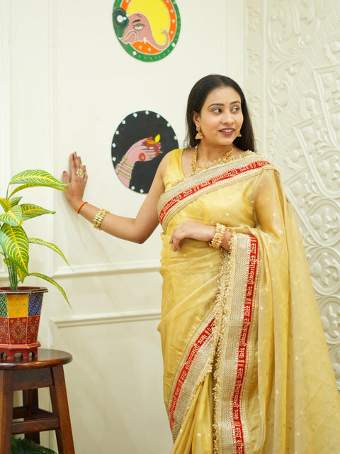 By Designer Saree With Zardosi Work 