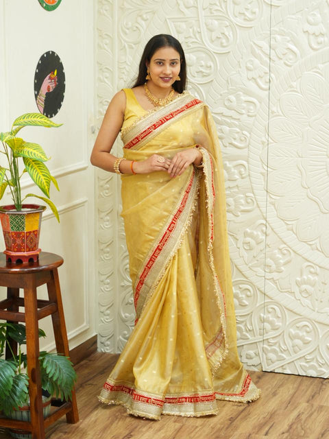 By Designer Saree With Zardosi Work 