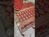 Neemzari Gotapatti Work saree for royal family weddings 